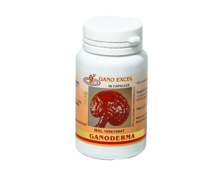 Ganoderma