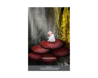 Poster Ganoderma